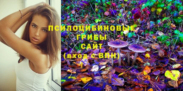 PSILOCYBIN Медвежьегорск
