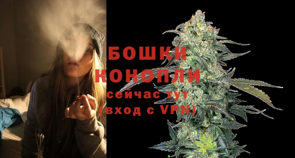 Альфа ПВП Медногорск