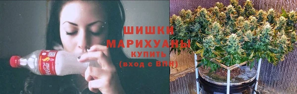 PSILOCYBIN Медвежьегорск