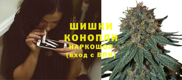 PSILOCYBIN Медвежьегорск